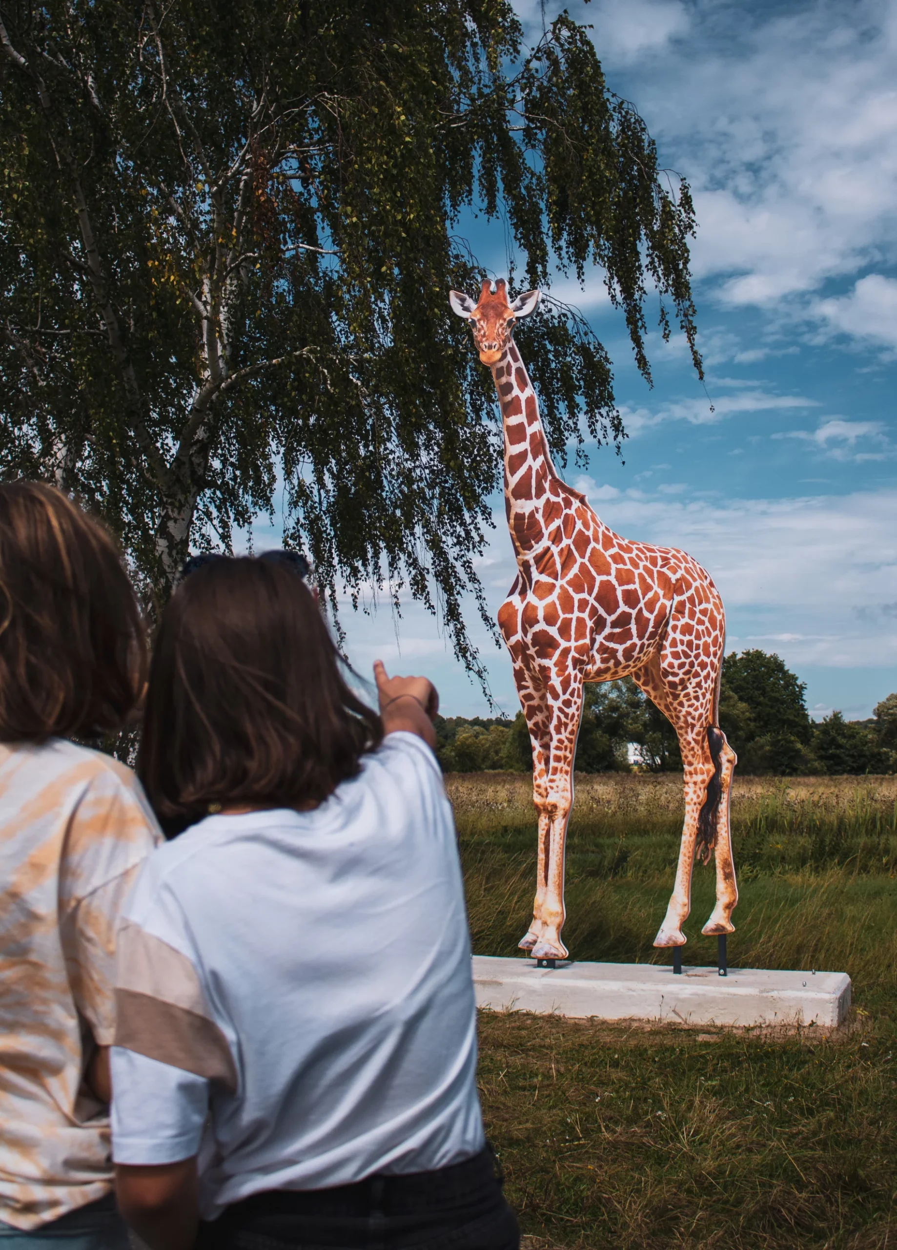 Schwalm statt Safari - Freizeit- und Lernangebot in Schwalmstadt