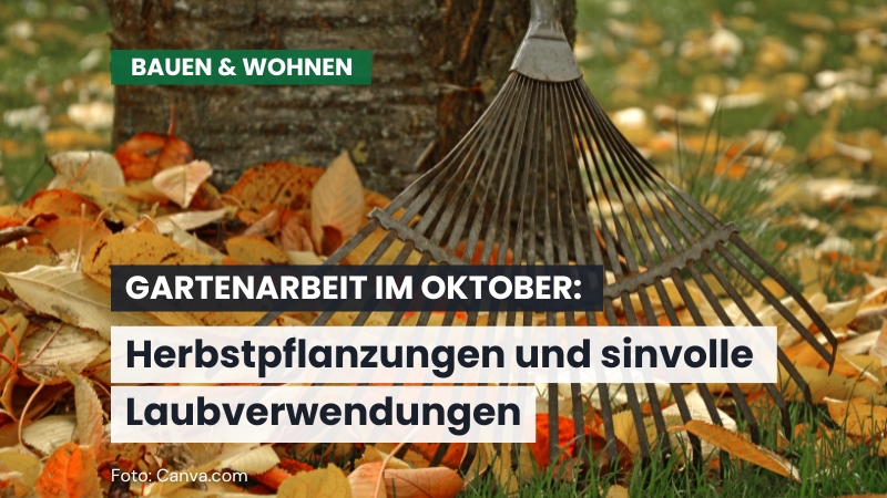 Gartenarbeit im Oktober: Herbstpflanzungen und letzte Vorbereitungen für den Winter
